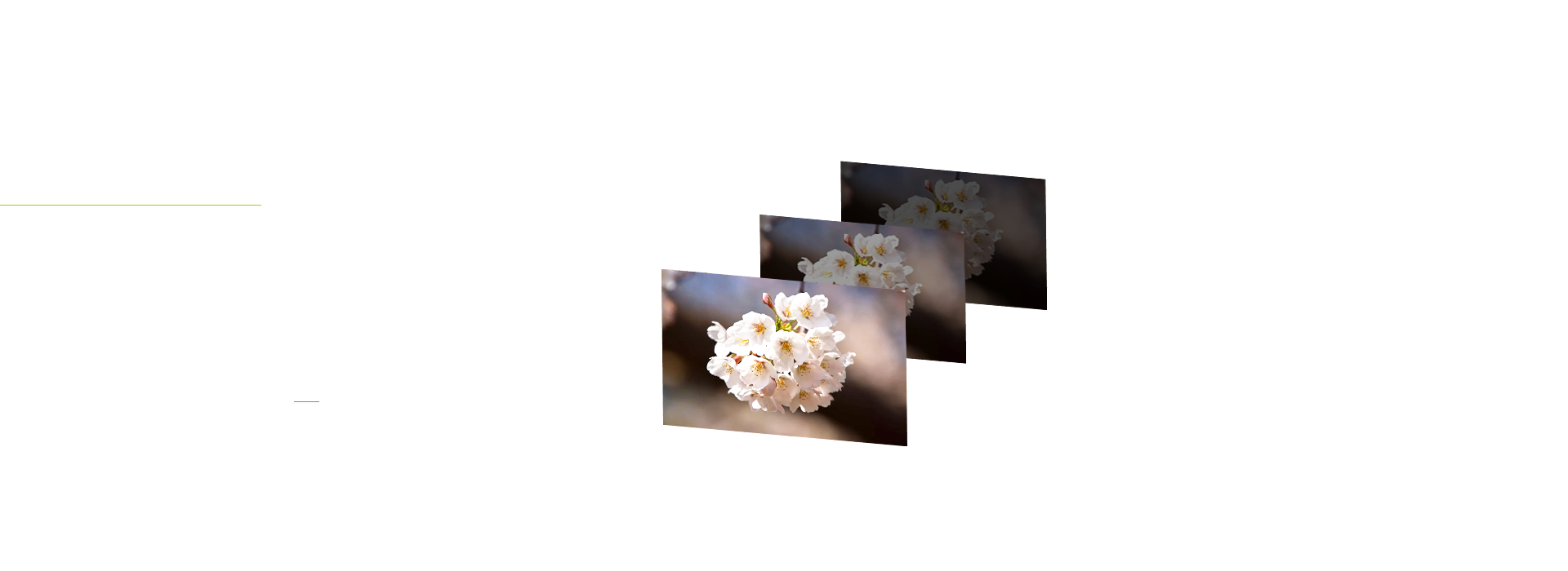 ҹӸ