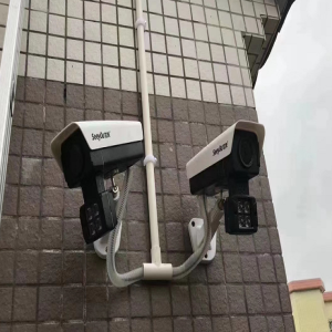 조ǻ۰Сѩ